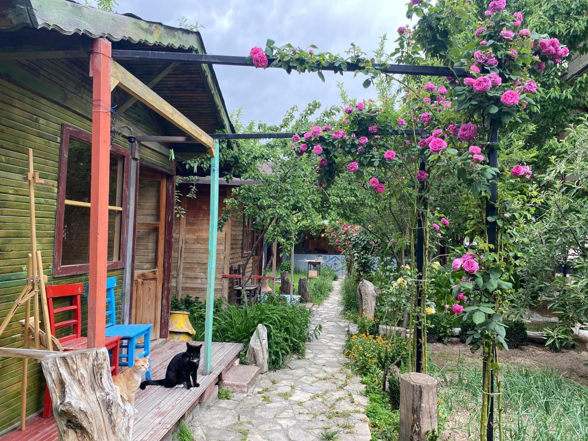 Philosophy Hotel Üchisar Ruang foto