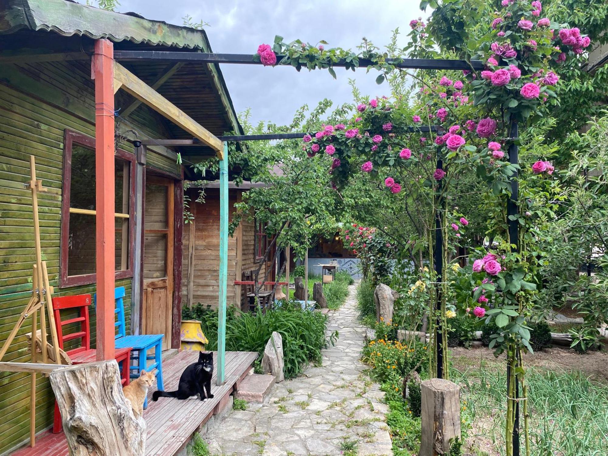 Philosophy Hotel Üchisar Bagian luar foto